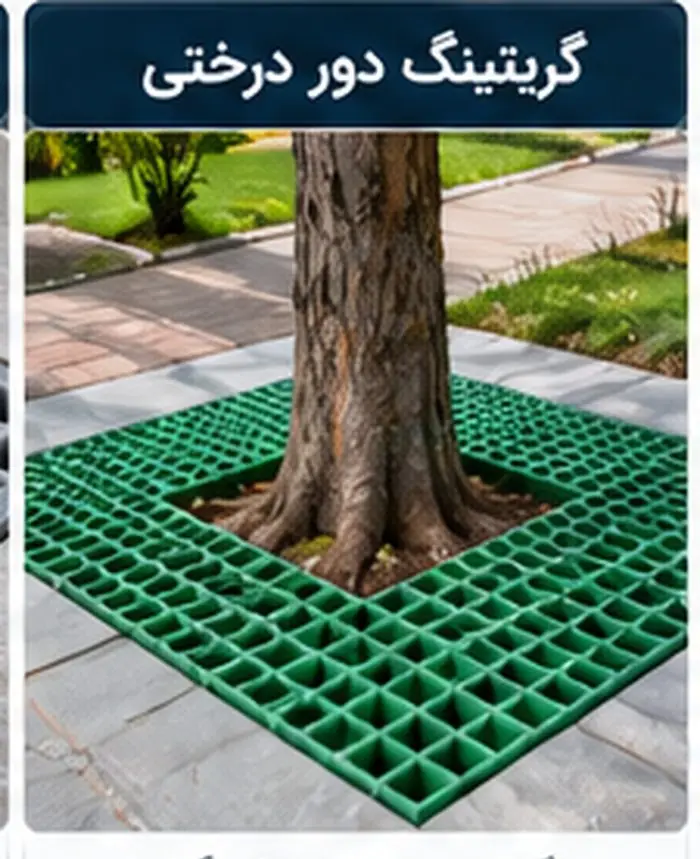 گریتینگ دور درختی سبز کامپوزیتی در پیاده رو